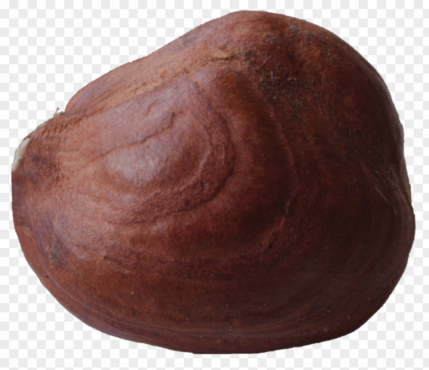 Macro Hazelnut Butter Wikimedia Commons Ingredient Meringue PNG