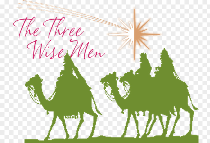 Wise Man Bethlehem Biblical Magi Silhouette Nativity Of Jesus Clip Art PNG