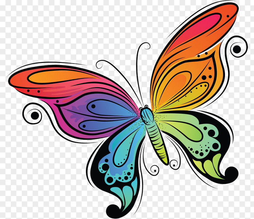 Butterfly Drawing Clip Art PNG