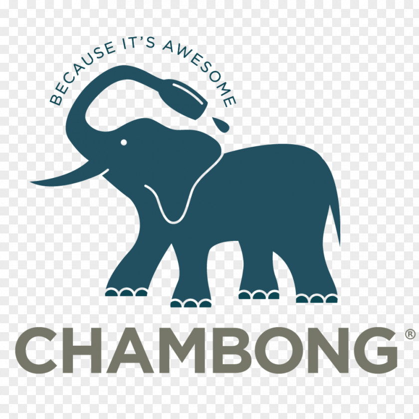 Elephants Indian Elephant African Logo Brand PNG