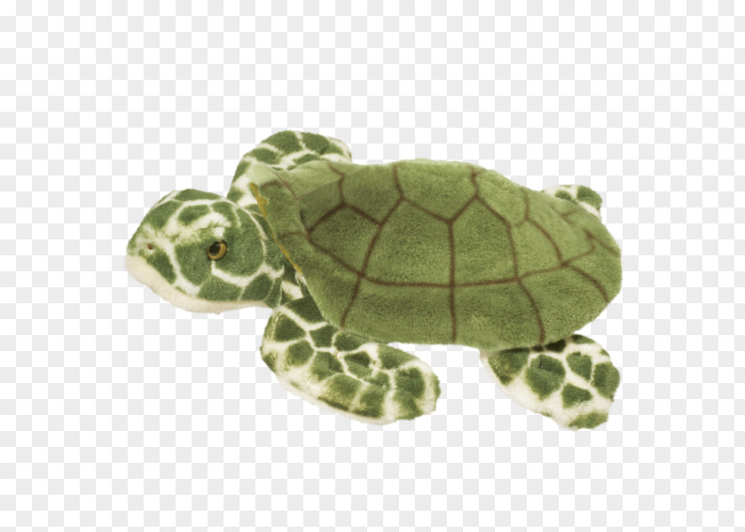 Softshelled Turtle Stuffed Animals & Cuddly Toys Loggerhead Sea Plush PNG