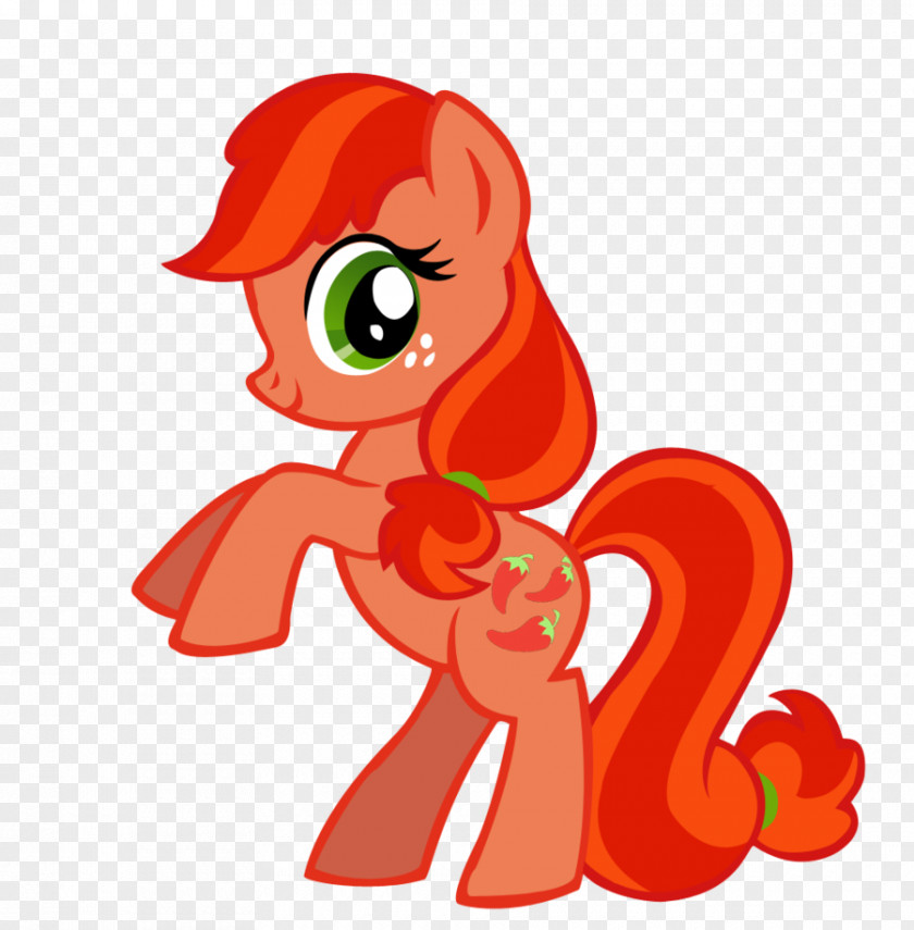 Vector Spices Pinkie Pie Rainbow Dash Pony Rarity Derpy Hooves PNG