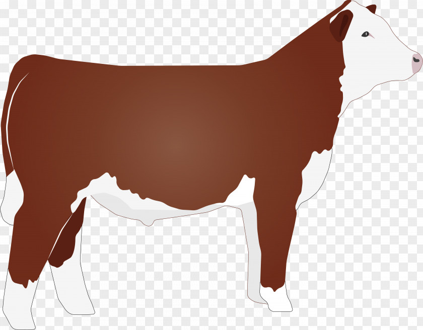 Agriculture Clipart Hereford Cattle Beef Angus Clip Art PNG