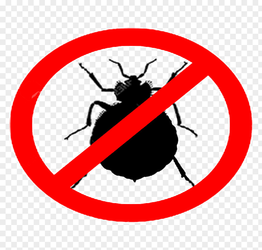 Bed Bug Bite Mattress Encasements Pest Control Techniques PNG