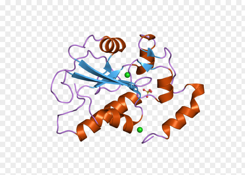 CDC25B Phosphatase Enzyme Gene PNG