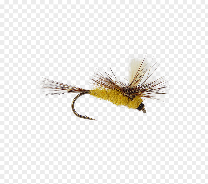 Fly Tying Artificial Fishing Nymph Stoneflies Rods PNG