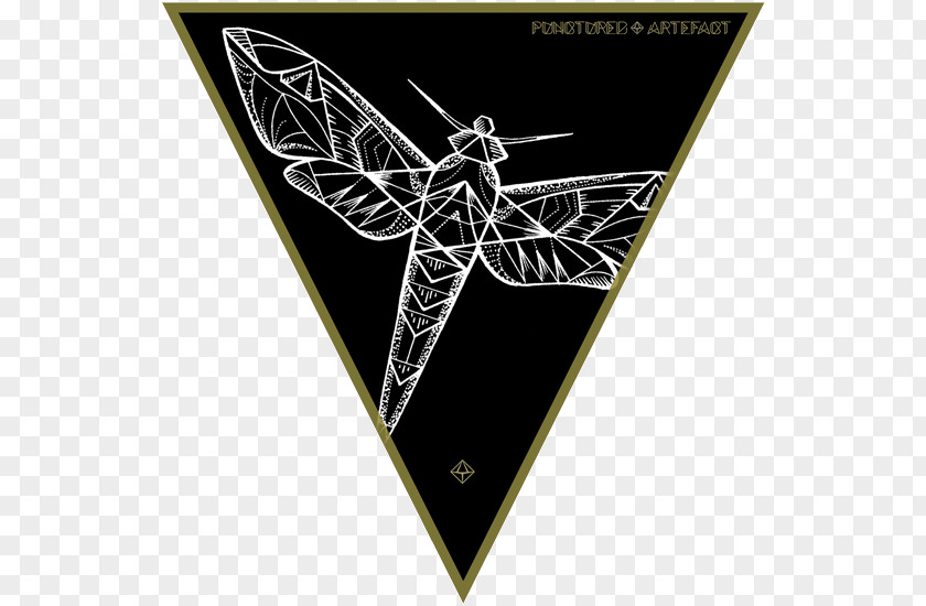 Hummingbird Hawk-moth Geometry Platonic Solid Flash Triangle Shape PNG