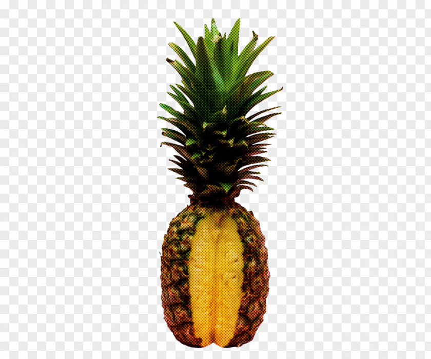 Pineapple PNG