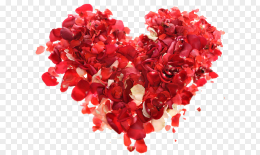Valentine's Day Dia Dos Namorados Love Flower Bouquet Camila PNG