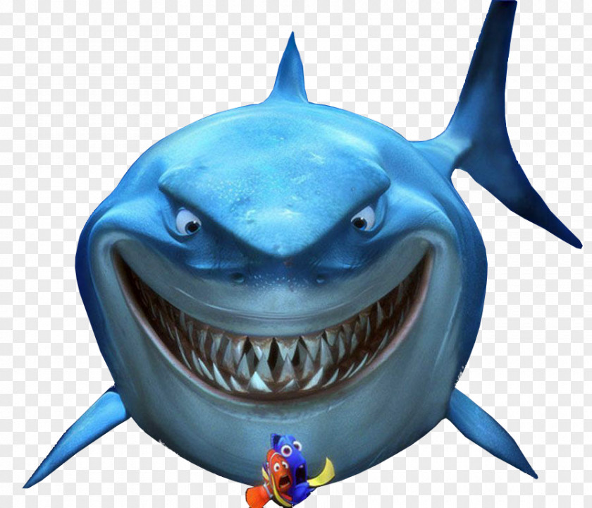 Youtube Bruce Marlin YouTube Finding Nemo Pixar PNG