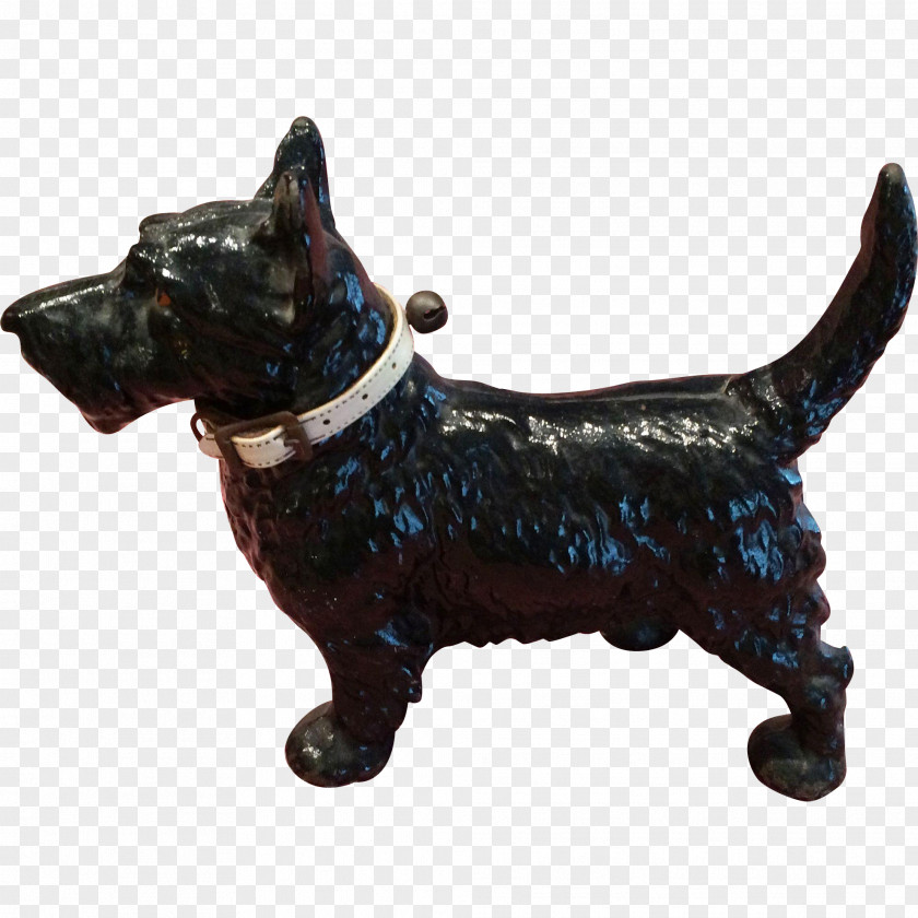 Cairn Terrier Scottish Dog Breed Snout PNG