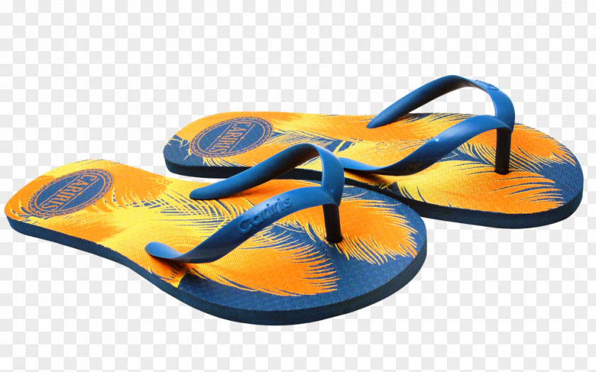 Flipflop Flip-flops Slipper Shoe Walking PNG