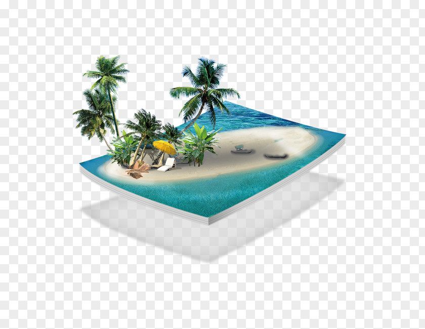 Seaside Coconut Trees Qiao Island Creativity Shandong Airlines PNG