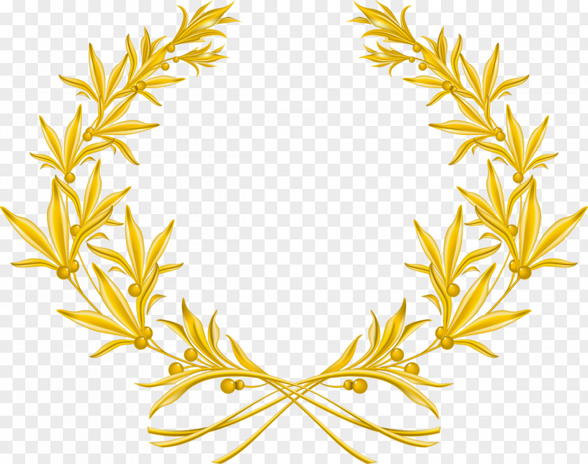 Wreath Laurel Olive Gold Clip Art PNG