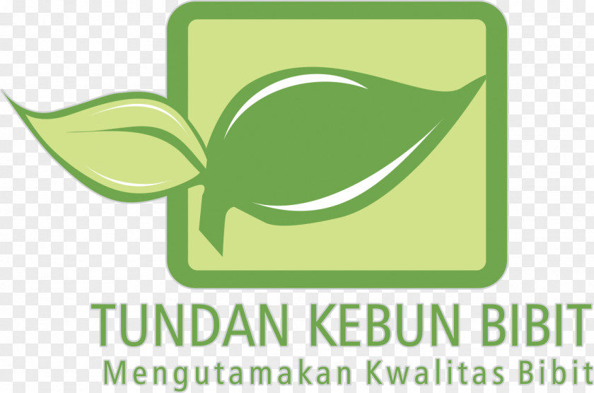 Artikel Bawang Putih Logo Leaf Product Font Brand PNG