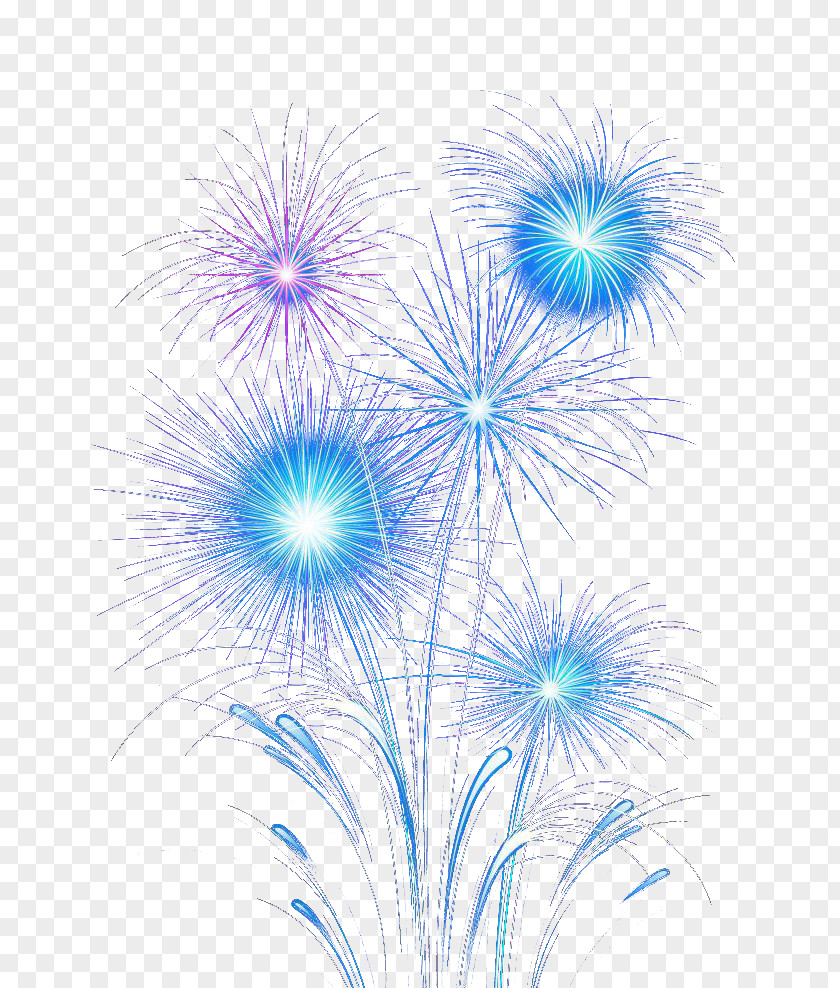 Beautiful Colorful Fireworks Graphic Design PNG