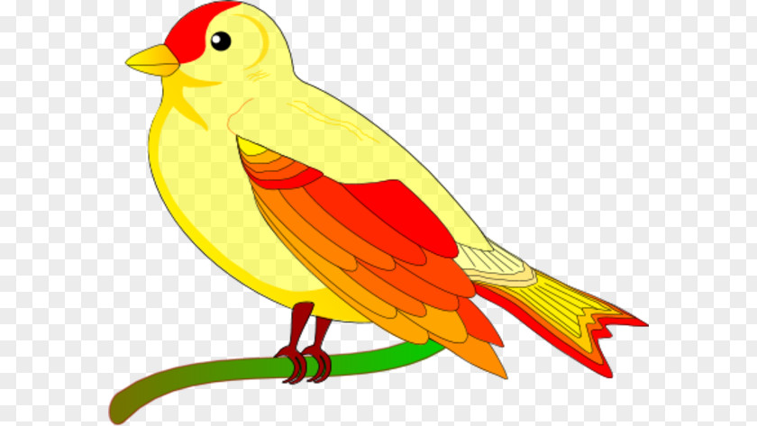 Birds Branch Cliparts Lovebird Parrot Animation Clip Art PNG