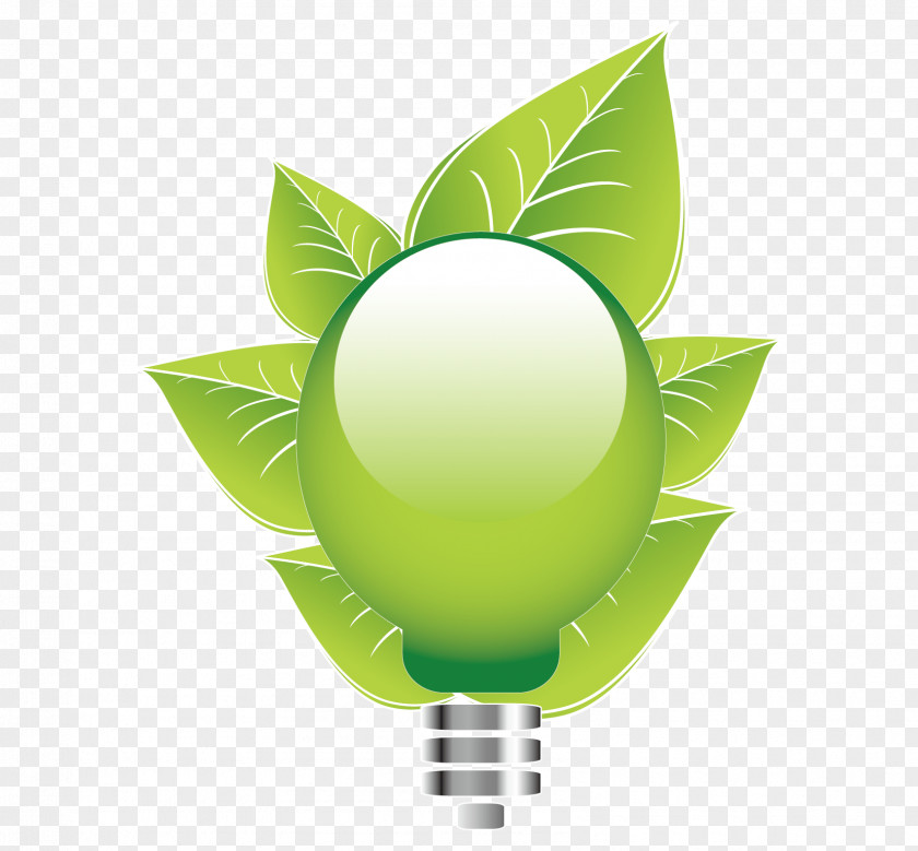Energy Saving Vector Graphics Image JPEG Incandescent Light Bulb Conservation PNG