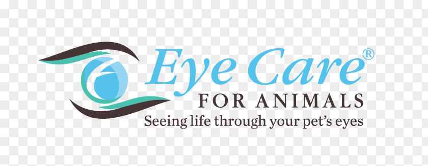 Eye Care For Animals Veterinarian Veterinary Specialties Medicine PNG