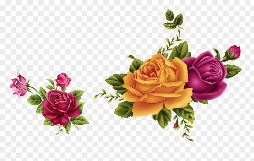 Peony Garden Roses Beach Rose Moutan PNG