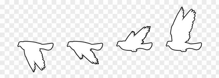 White Movement Bird Flight Columbidae Clip Art PNG