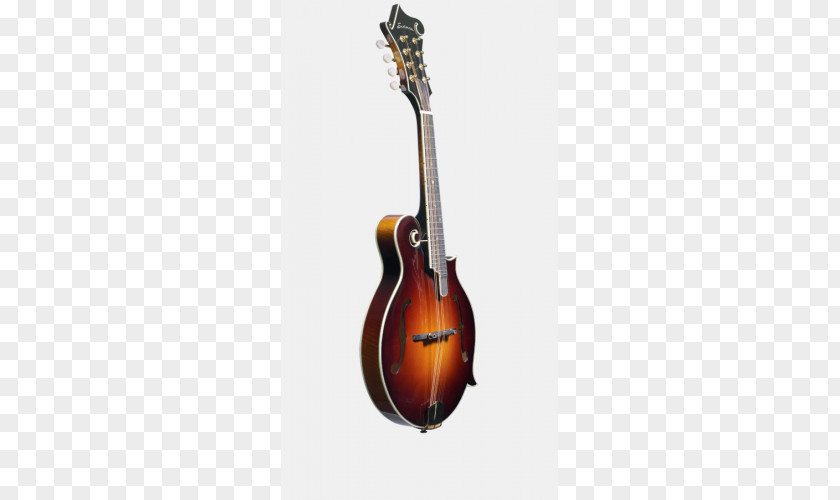 Bass Guitar Acoustic Acoustic-electric Violin Mandolin PNG