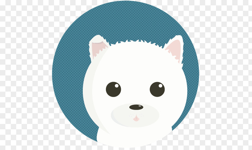 Bear Canidae Dog Cat Snout PNG