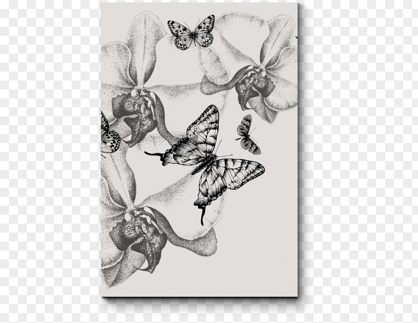 Butterfly Drawing Orchids Ophrys Insectifera PNG