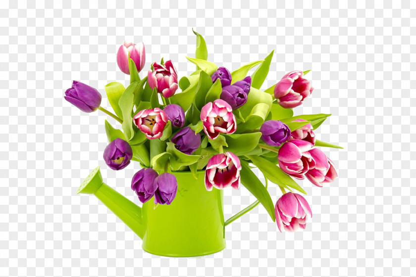 Color Tulips Photograph Floral Design Tulip Flower Bouquet Stock Photography PNG