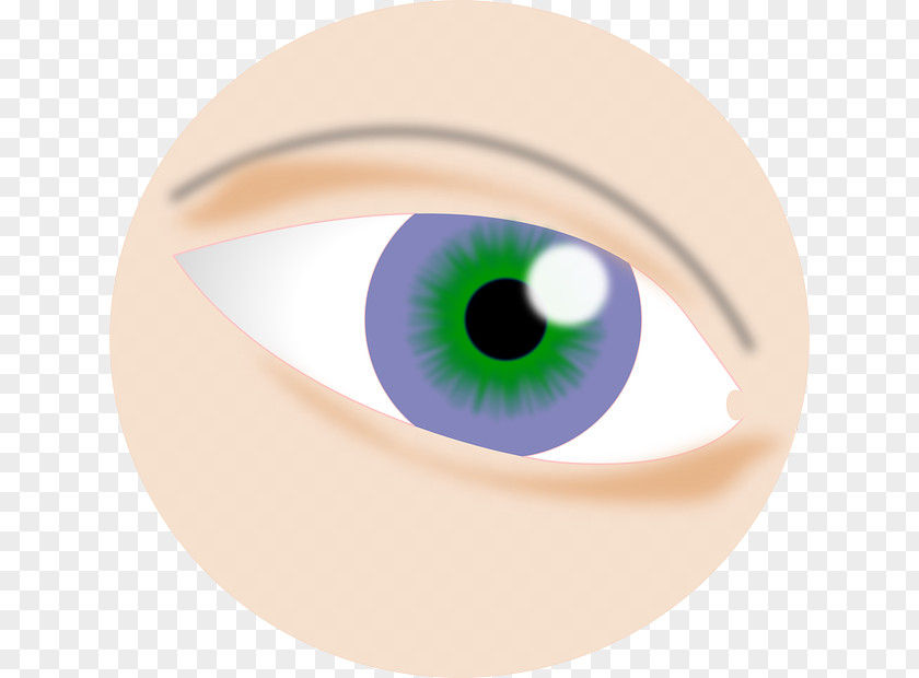 Eye Iris Photography Light Visual Acuity PNG