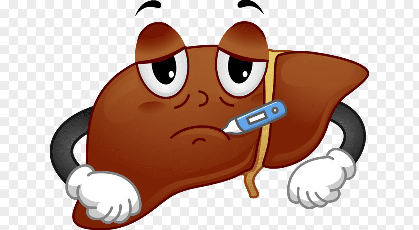 Liver Cartoon The Cleansing Diet Span Disease Clip Art PNG