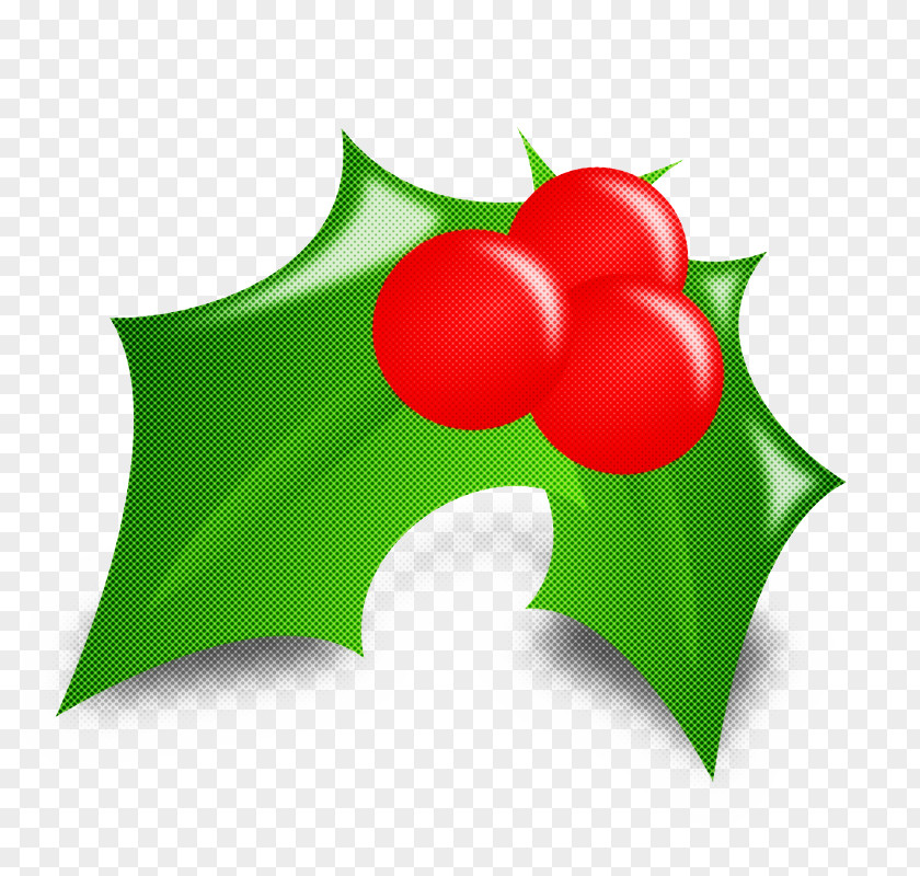 Logo Plant Holly PNG