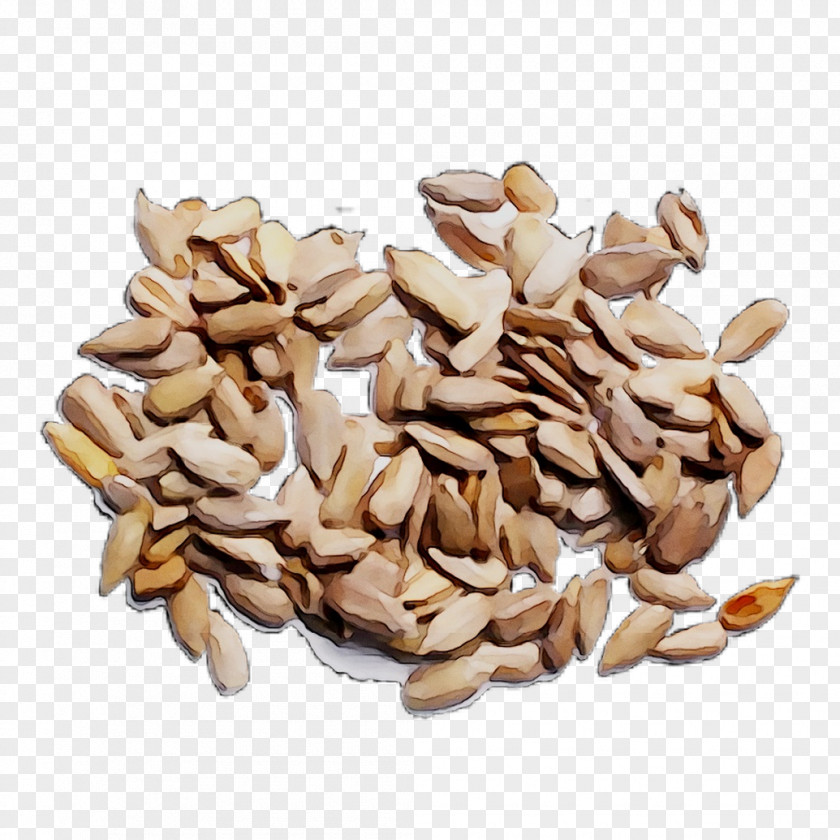 Nut Vegetarian Cuisine Commodity Food Vegetarianism PNG