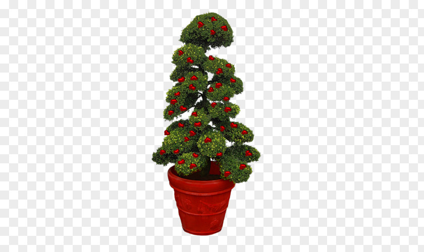 Christmas Tree Ornament Flower PNG