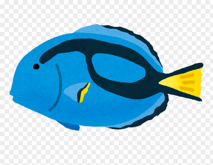 Fish Blue Tang Clip Art Illustration Image PNG