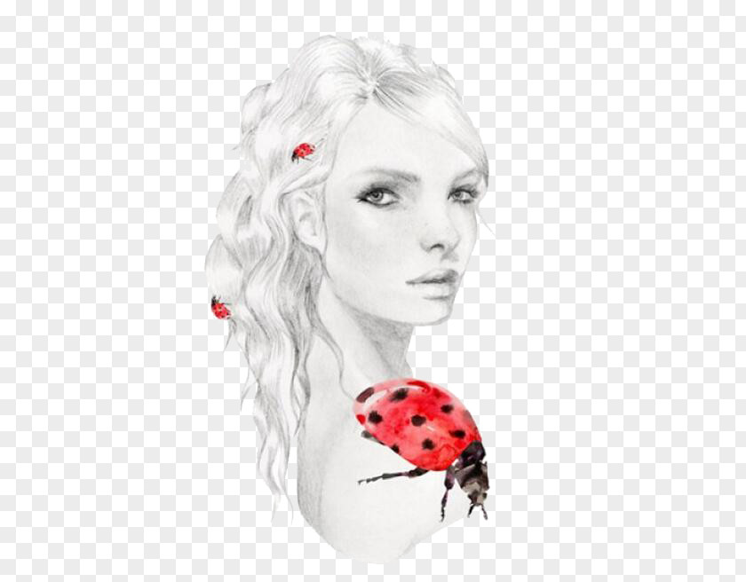 Beauty Ladybug Kelly Smith Australia Illustrator Drawing Illustration PNG