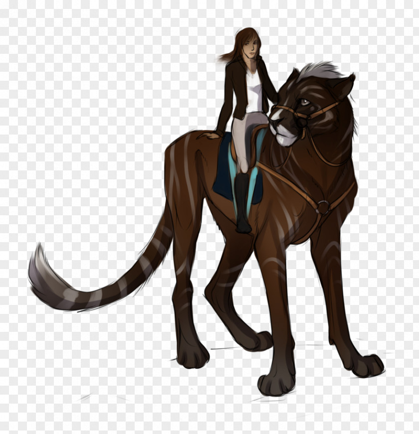 Cat Character Tail Fiction Mammal PNG