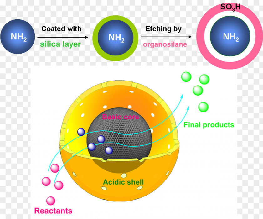 Design Graphic Product Brand Diagram PNG