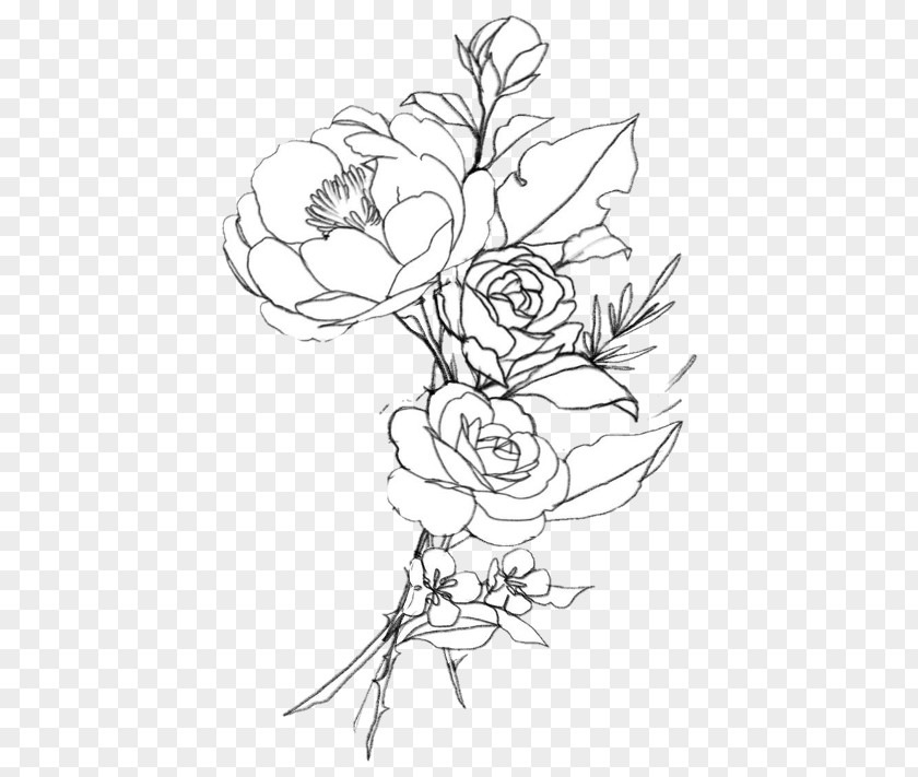 Flowervector Cartoon Drawing Line Art Illustration Image Photography PNG