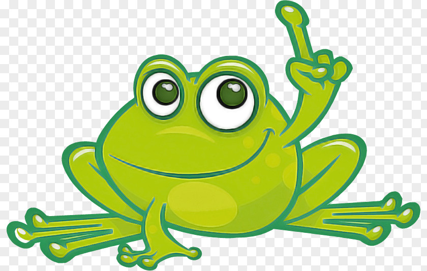 Green True Frog Hyla Tree Cartoon PNG