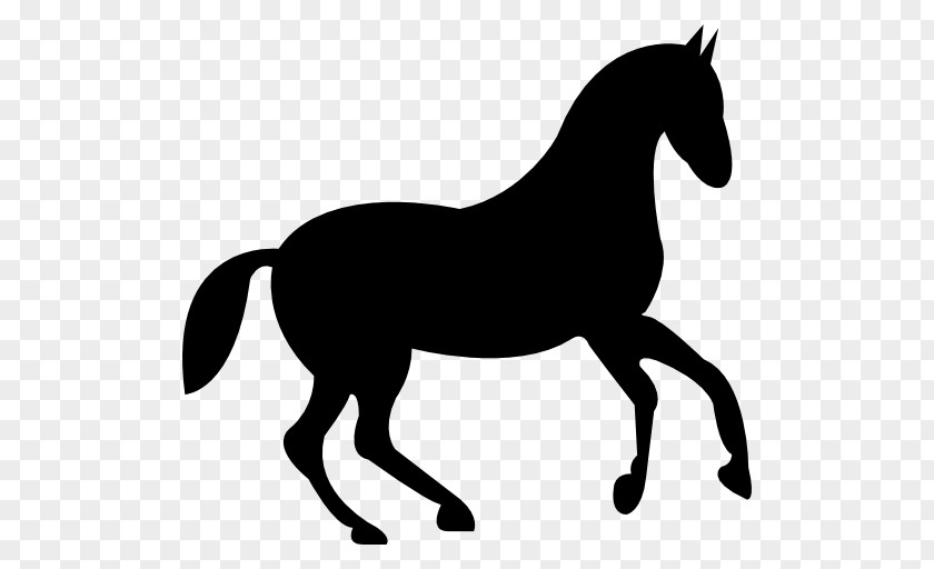 Horse Race Riding Equestrian Jockey Horse&Rider PNG