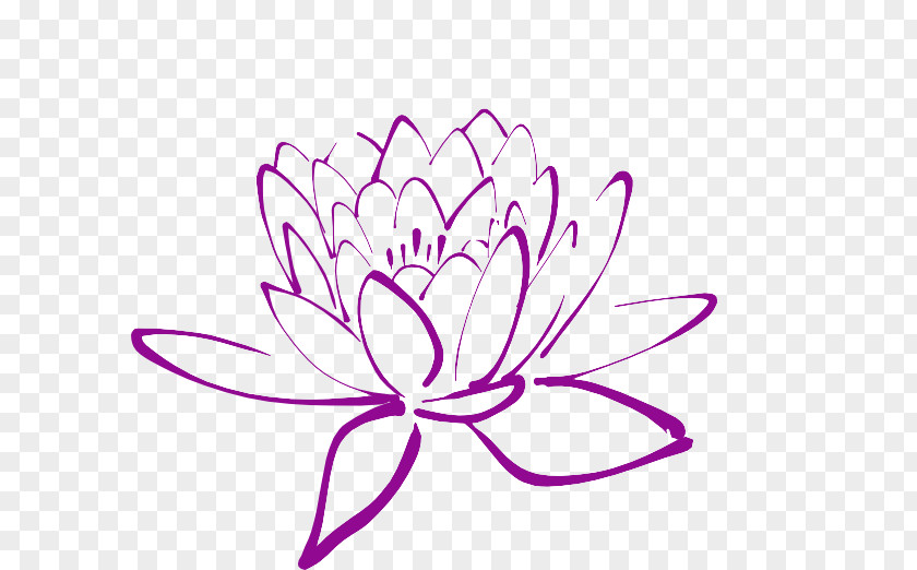 Lotus Flower Clip Art Openclipart Magnolia Vector Graphics Image PNG