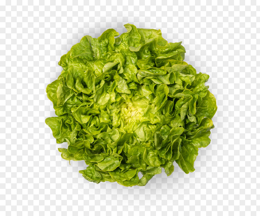 Swiss Chard Kale Romaine Lettuce Bio Suisse Green Food Produce PNG