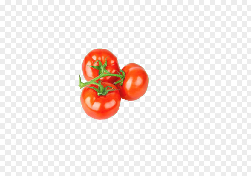 Tomato Vegetable Fruit Organic Food PNG