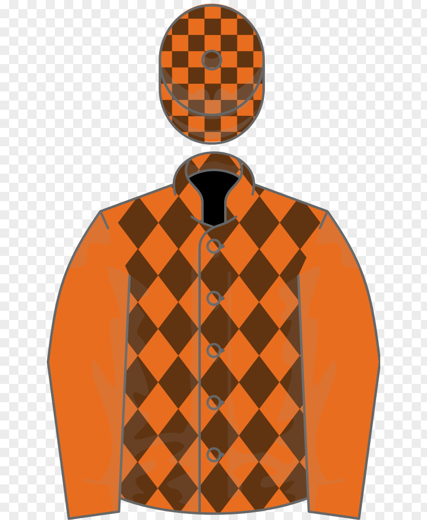 Amber Green Horse Racing Orange Sleeve PNG