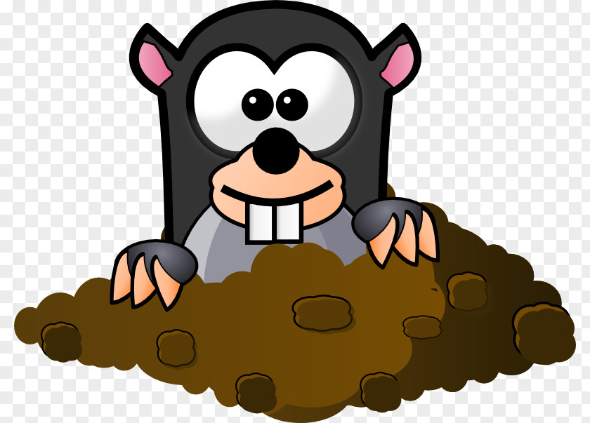 Animated Owl Pictures Mole Day Free Content Clip Art PNG