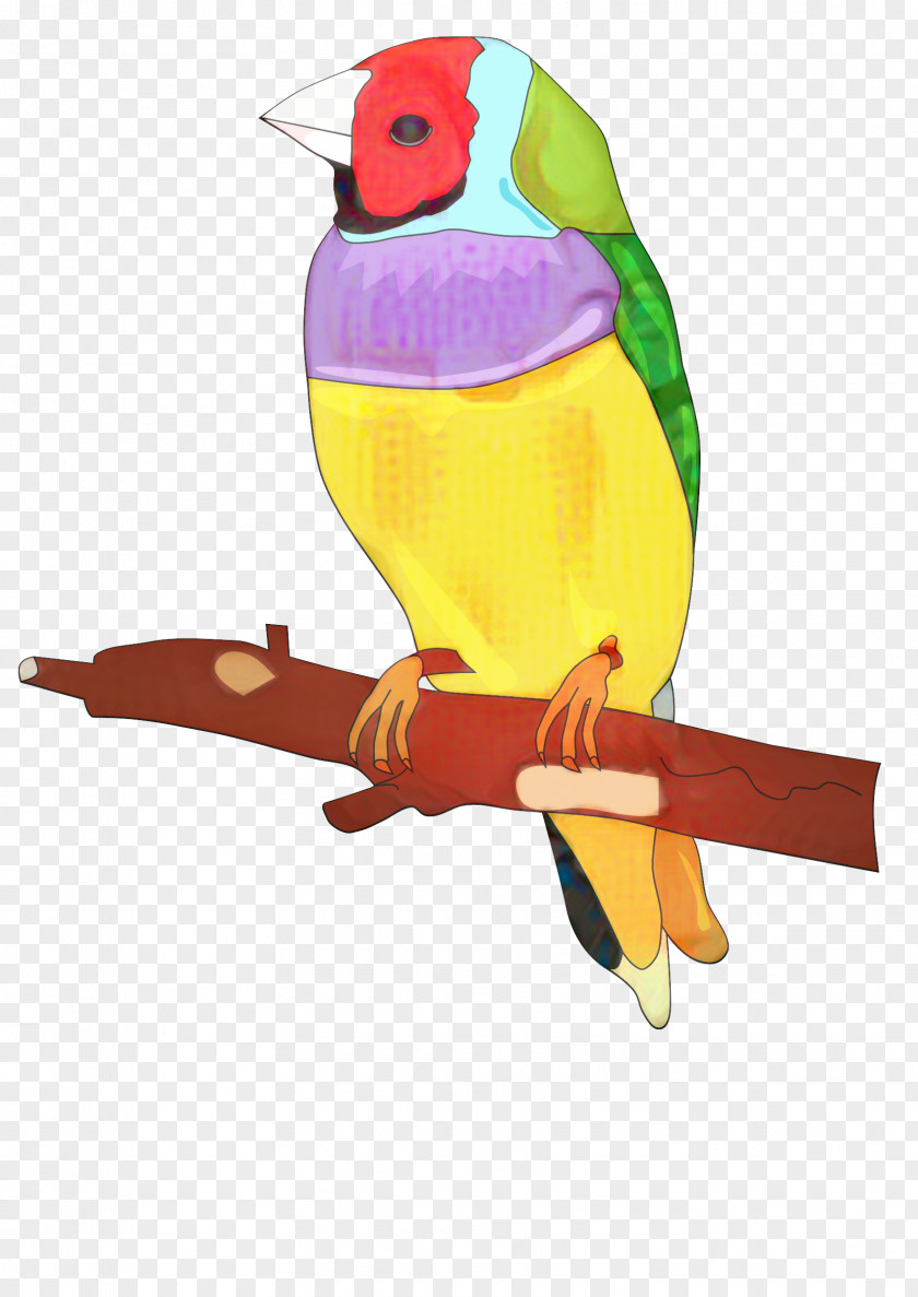 Budgie Perching Bird Parrot PNG