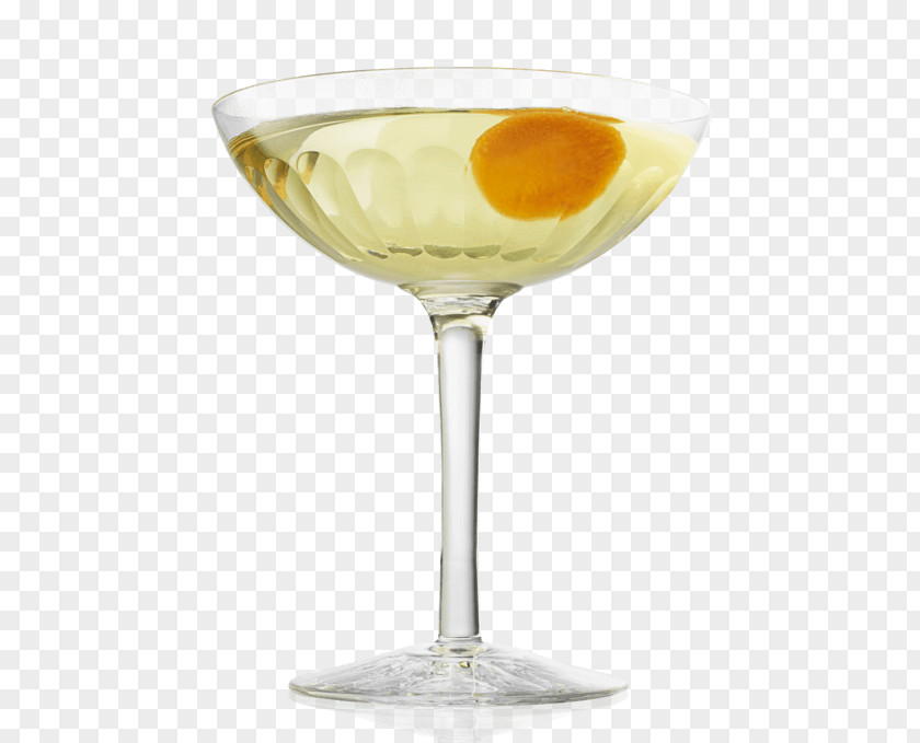 Cocktail Garnish Martini Gin Tonic Water PNG