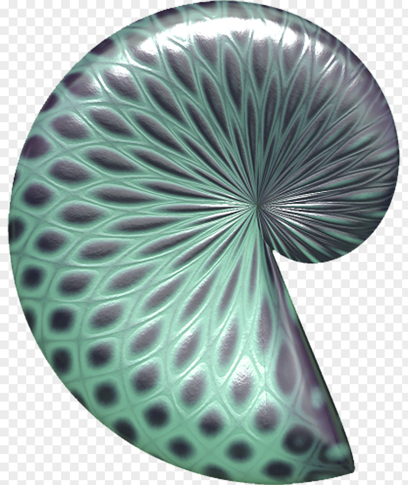 Green Snail Shell Orthogastropoda Polka Dot Icon PNG