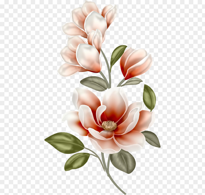 Painting Clip Art Magnolia Image Openclipart PNG